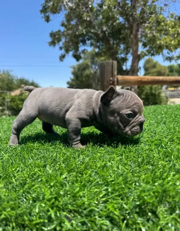 TINY