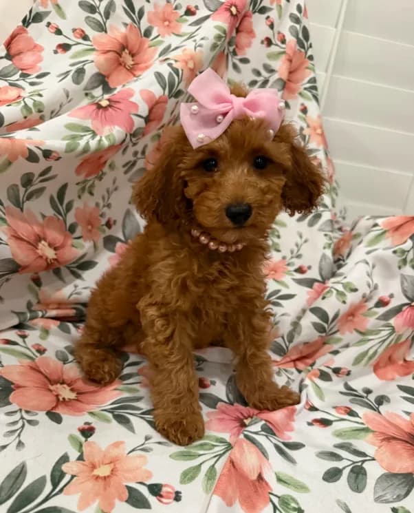 Ruby