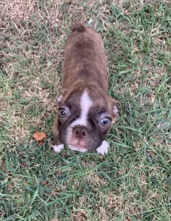 Addie #6