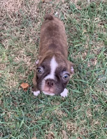 Addie #6