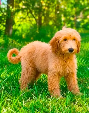 Sadie-Very Sweet! ๐